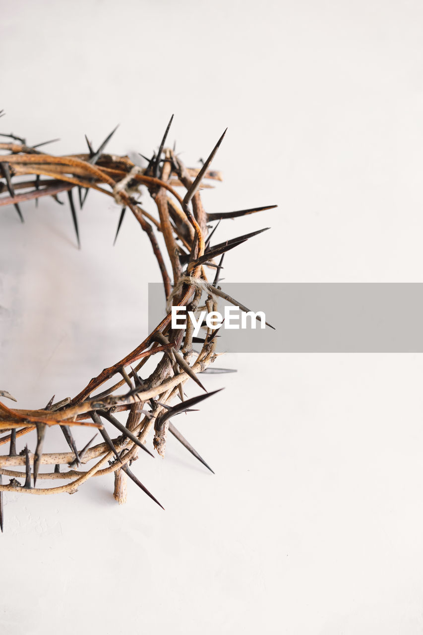 Jesus crown thorns and nails and cross on a white background. easter day