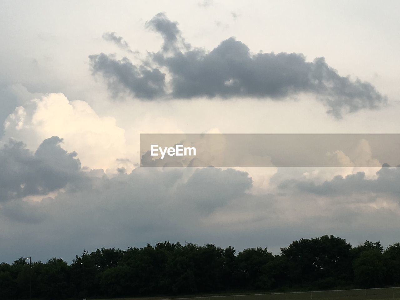 LOW ANGLE VIEW OF TREES AGAINST SKY DURING SUNSET