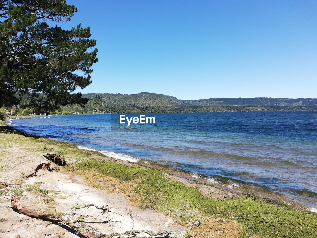 SCENIC VIEW OF BEACH AGAINST CLEAR SKY