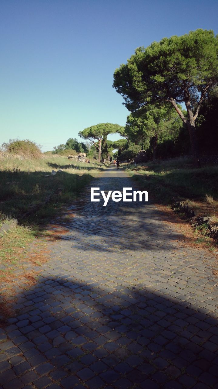 VIEW OF EMPTY ROAD ALONG TREES