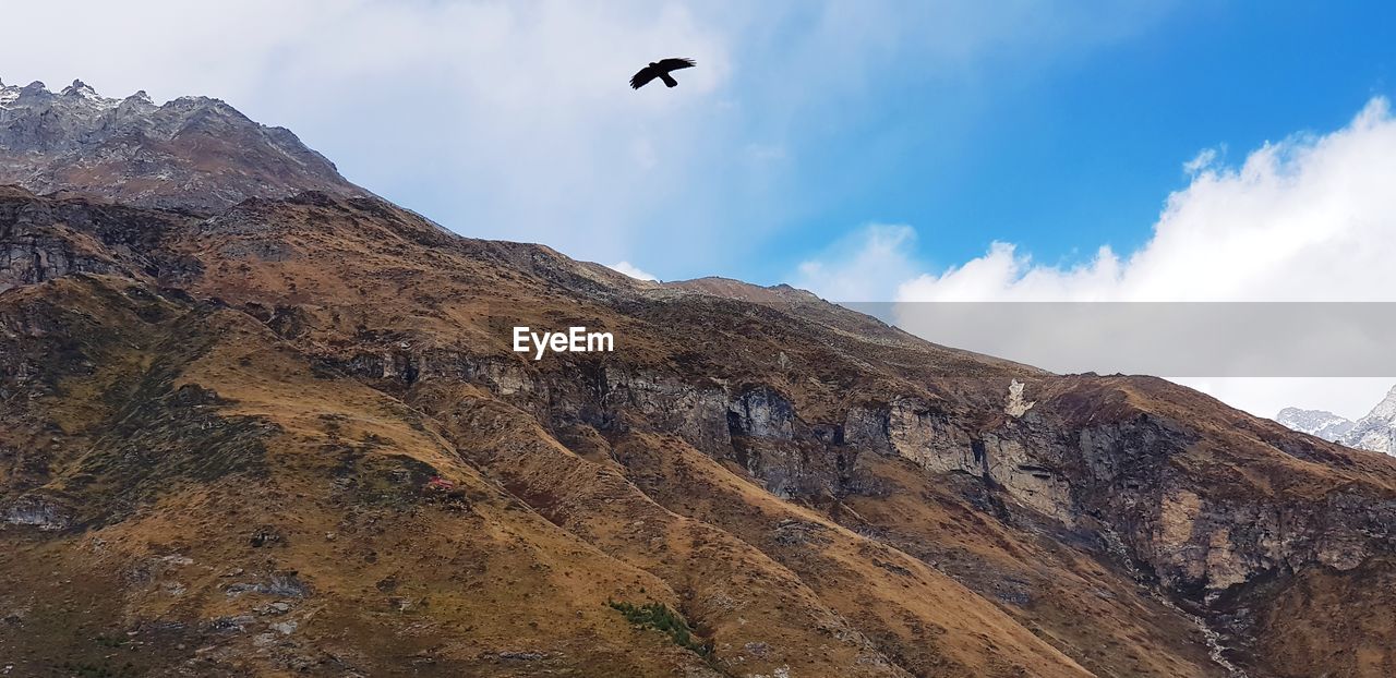 LOW ANGLE VIEW OF A BIRD FLYING OVER MOUNTAIN