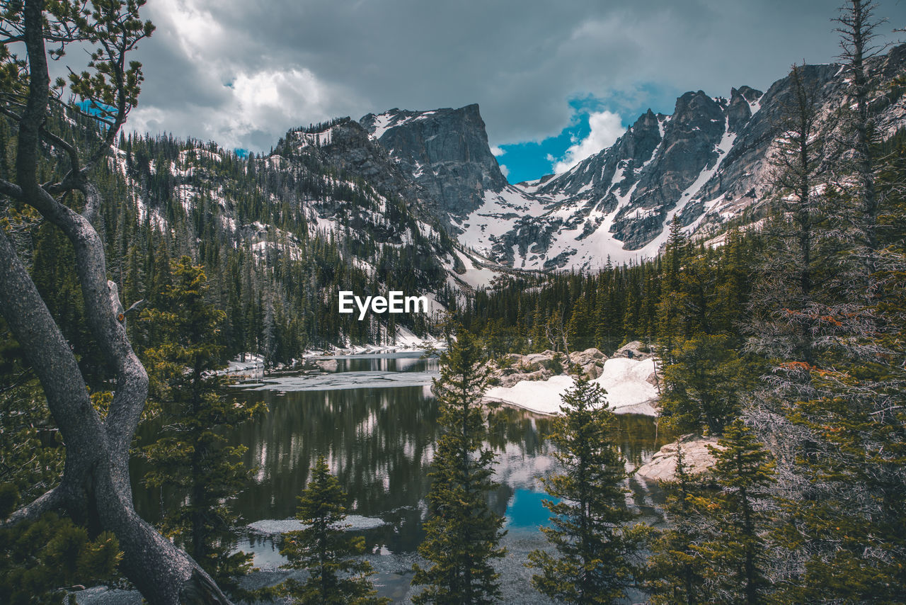 Mountain range, rocky mountain national park, tree, forest.