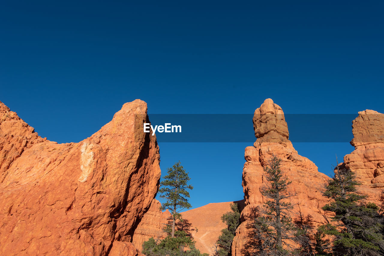 Low angle landscape of orange hoodoos and spires or rock formations and greenery against the sky