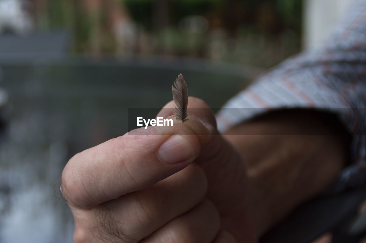 Close-up of man hand with a little feather