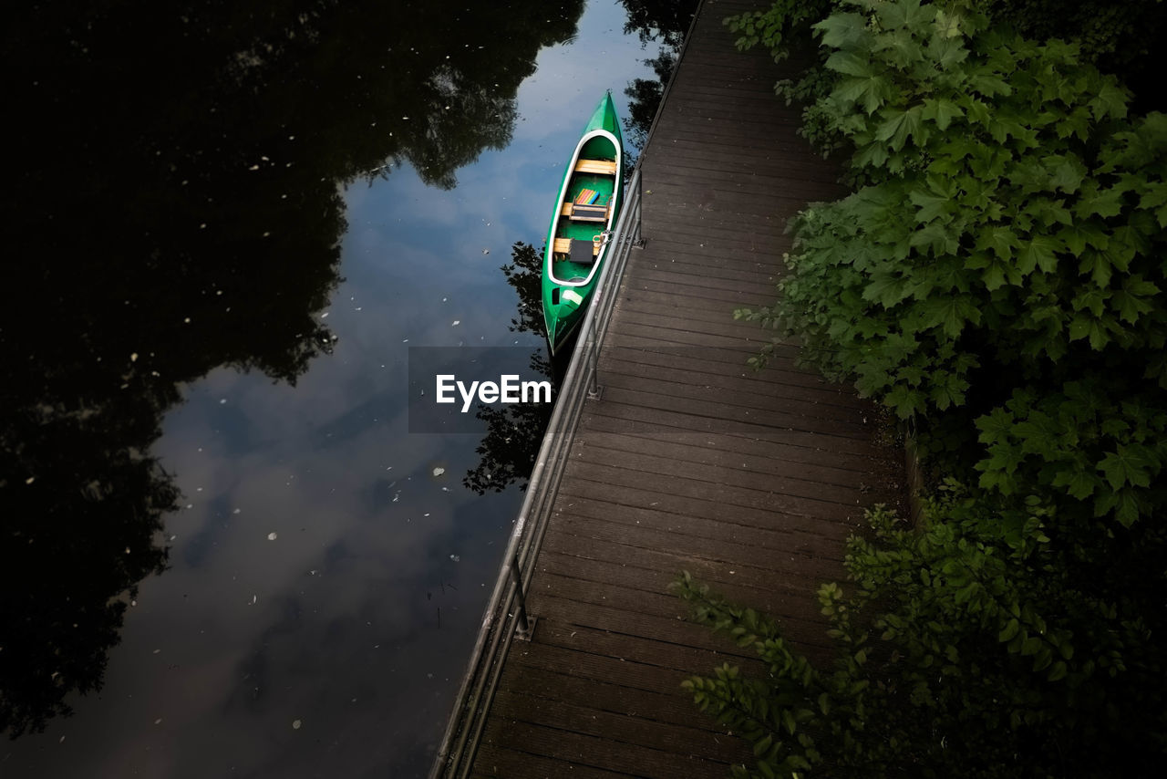 HIGH ANGLE VIEW OF TREES AND PLANTS IN WATER