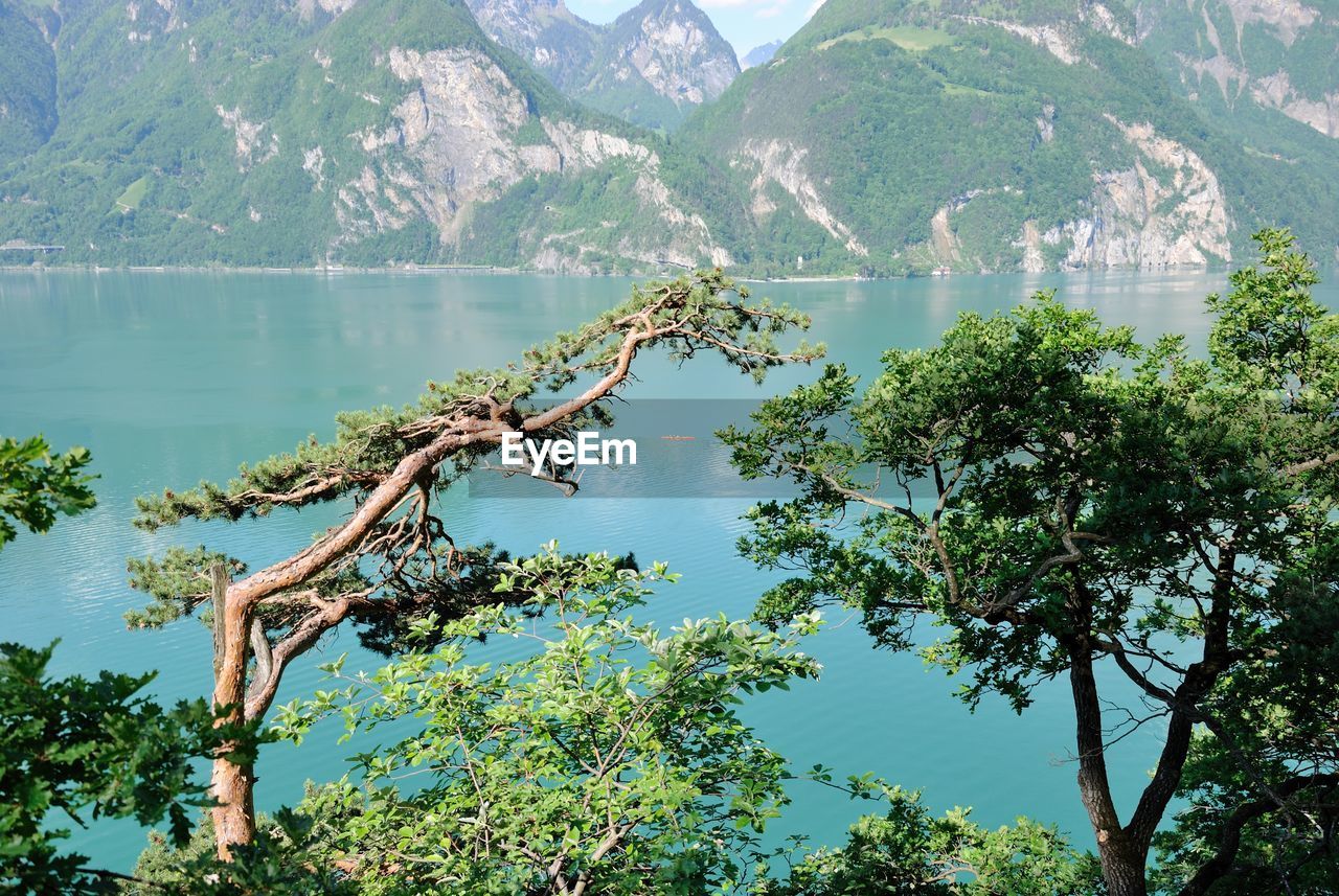 Scenic view of lake by trees against sky