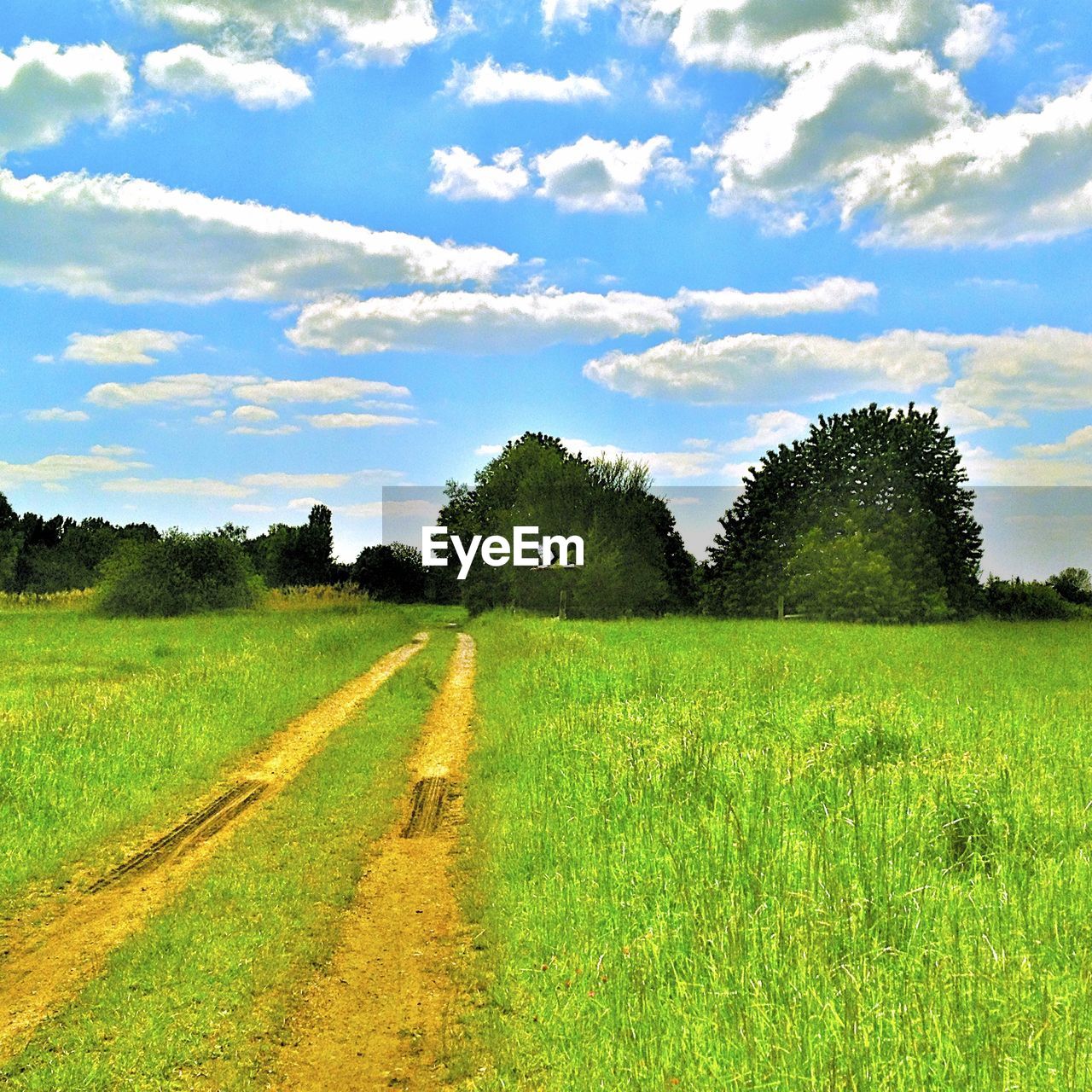 AGRICULTURAL FIELD AGAINST SKY