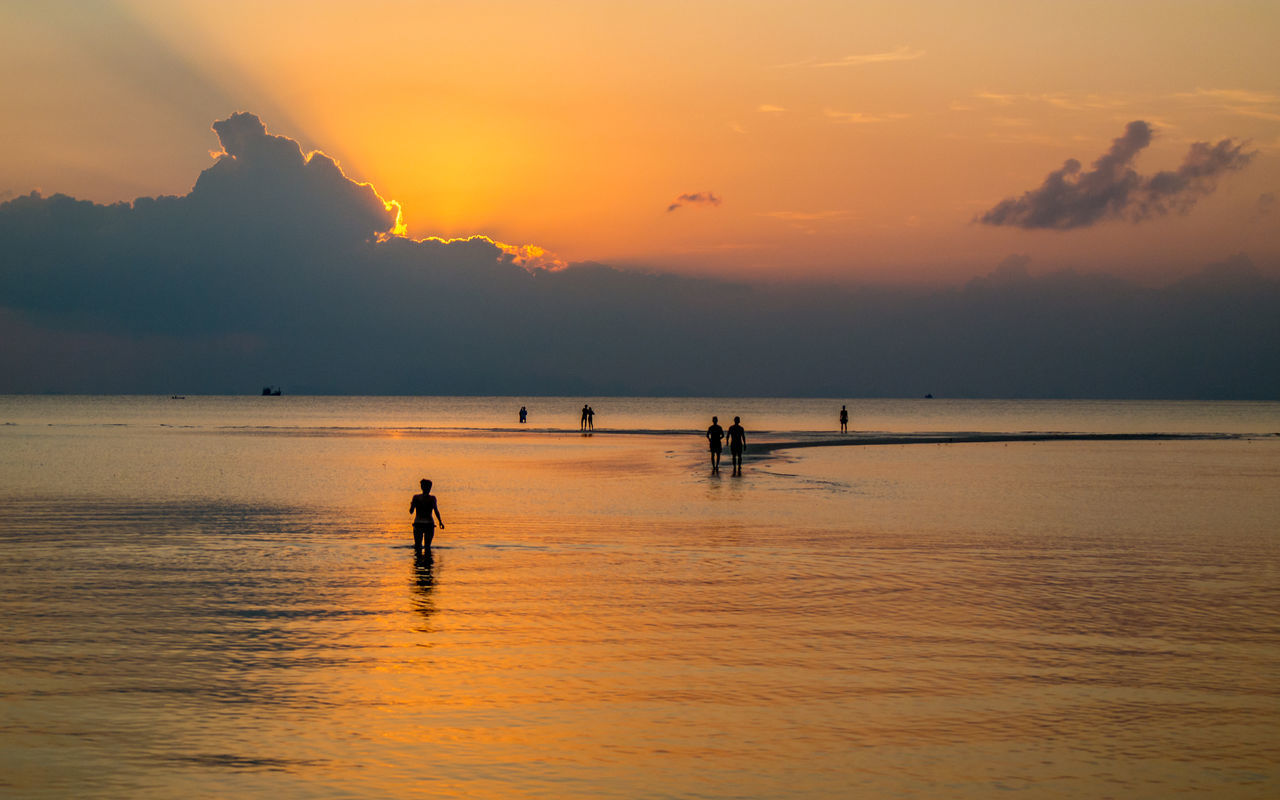 Silhouette people at beach during sunset