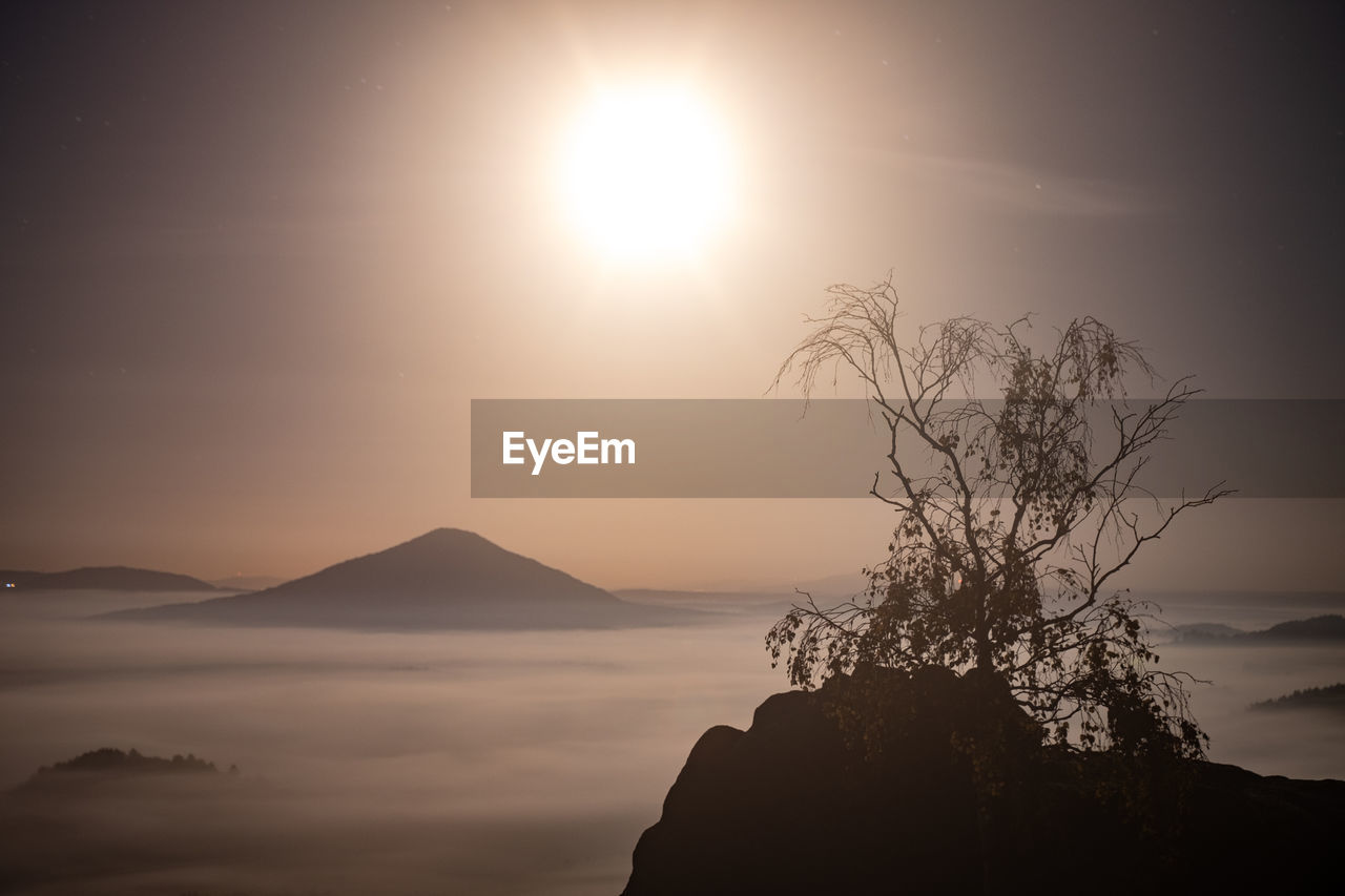 Beautiful mystical pink fog in autumn moon night. colorful fog with enchanted trees without leaves.