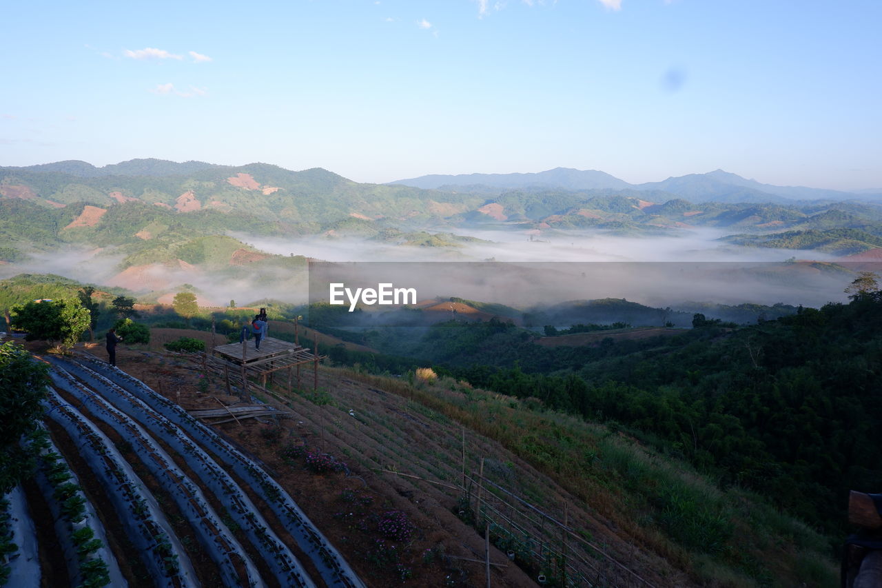 Scenic view of agricultural field against sky