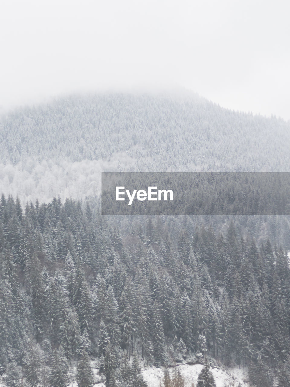 Close-up of snow covered landscape against clear sky