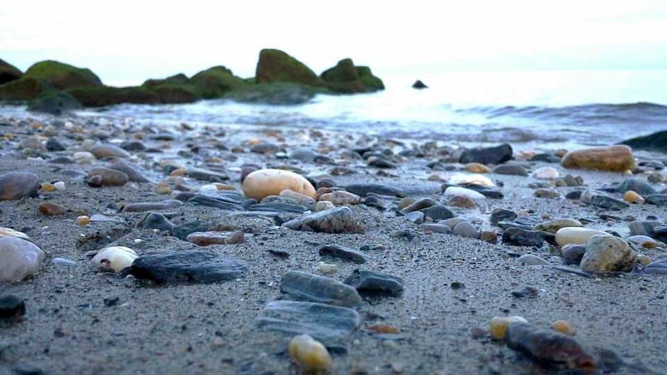 SURFACE LEVEL OF ROCKY BEACH