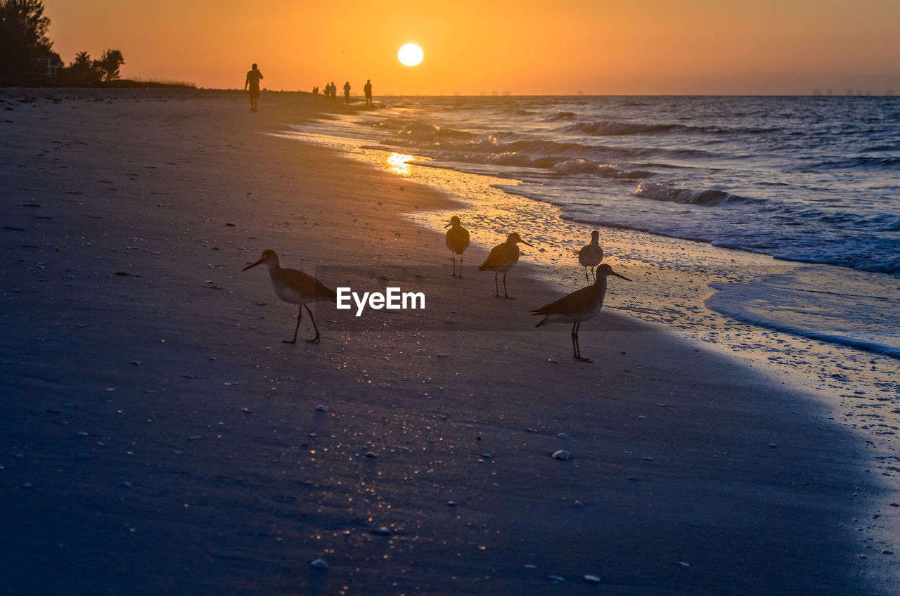 Scenic view of beach against sky during sunset