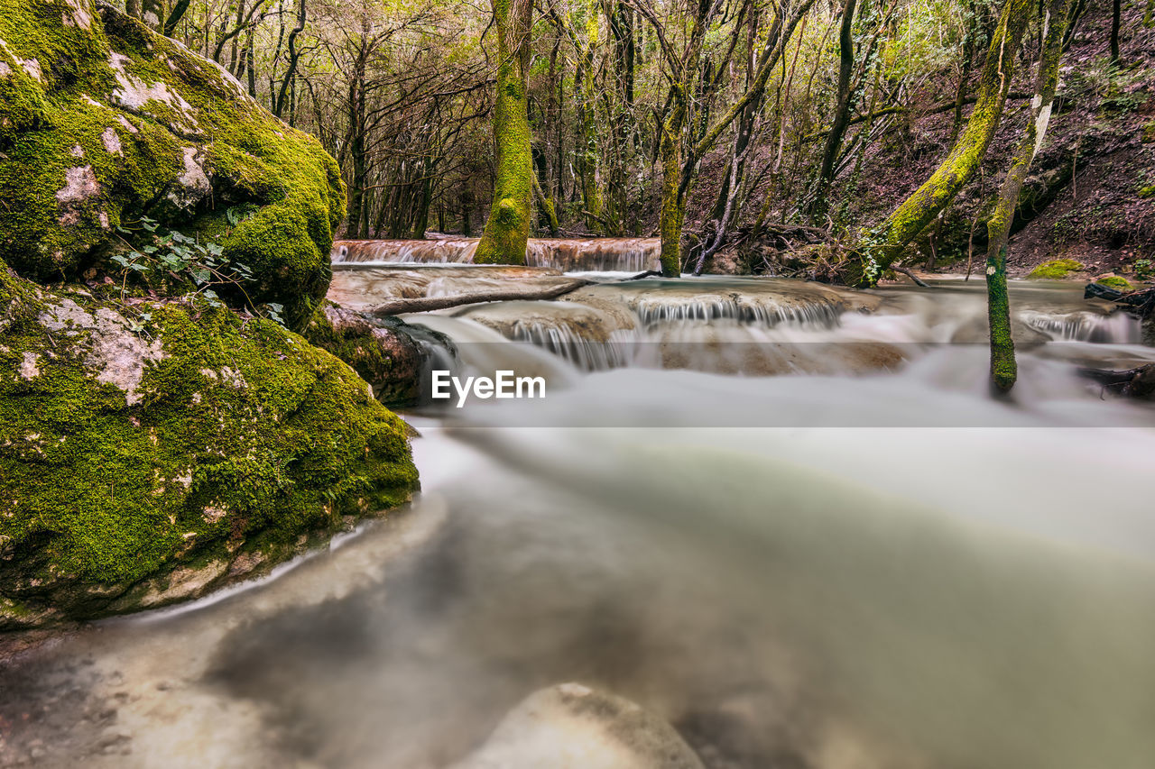 Scenic view of waterfall in forest