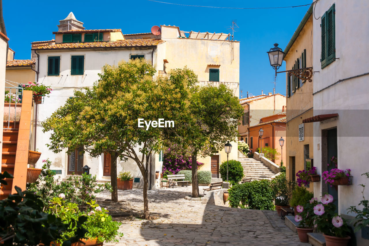 POTTED PLANTS AND BUILDINGS AGAINST SKY