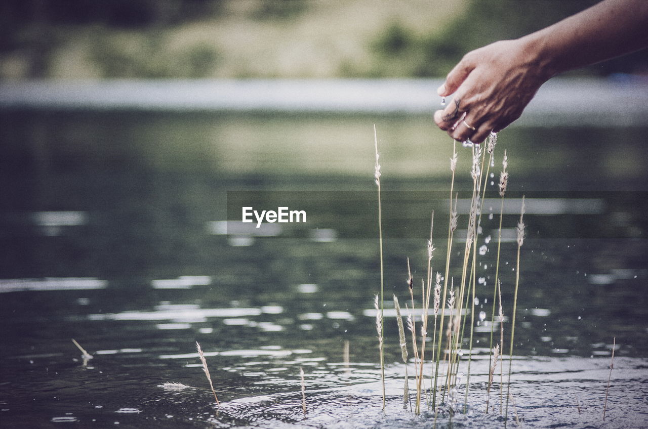 Cropped hand of woman splashing water in lake