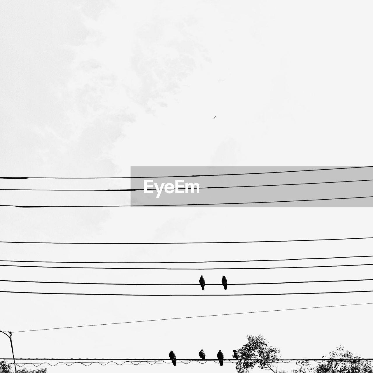 LOW ANGLE VIEW OF POWER LINES AGAINST BLUE SKY