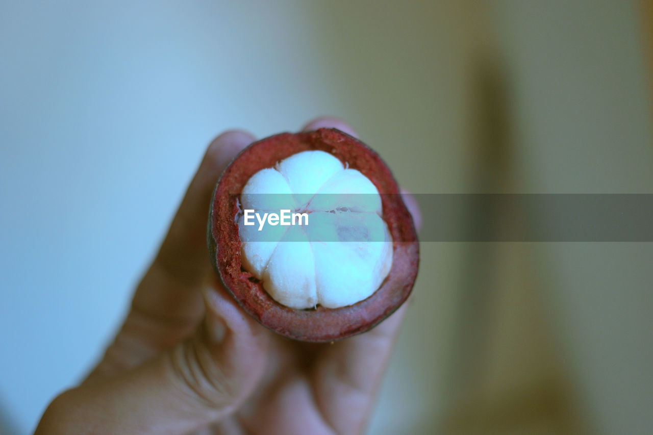 Close-up of hand holding mangosteen