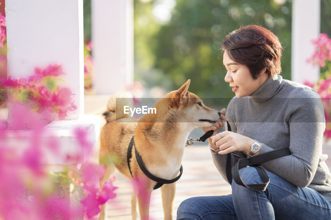 Pet lover concept. an asian girl is playing with a shiba inu dog. woman and dog hugging
