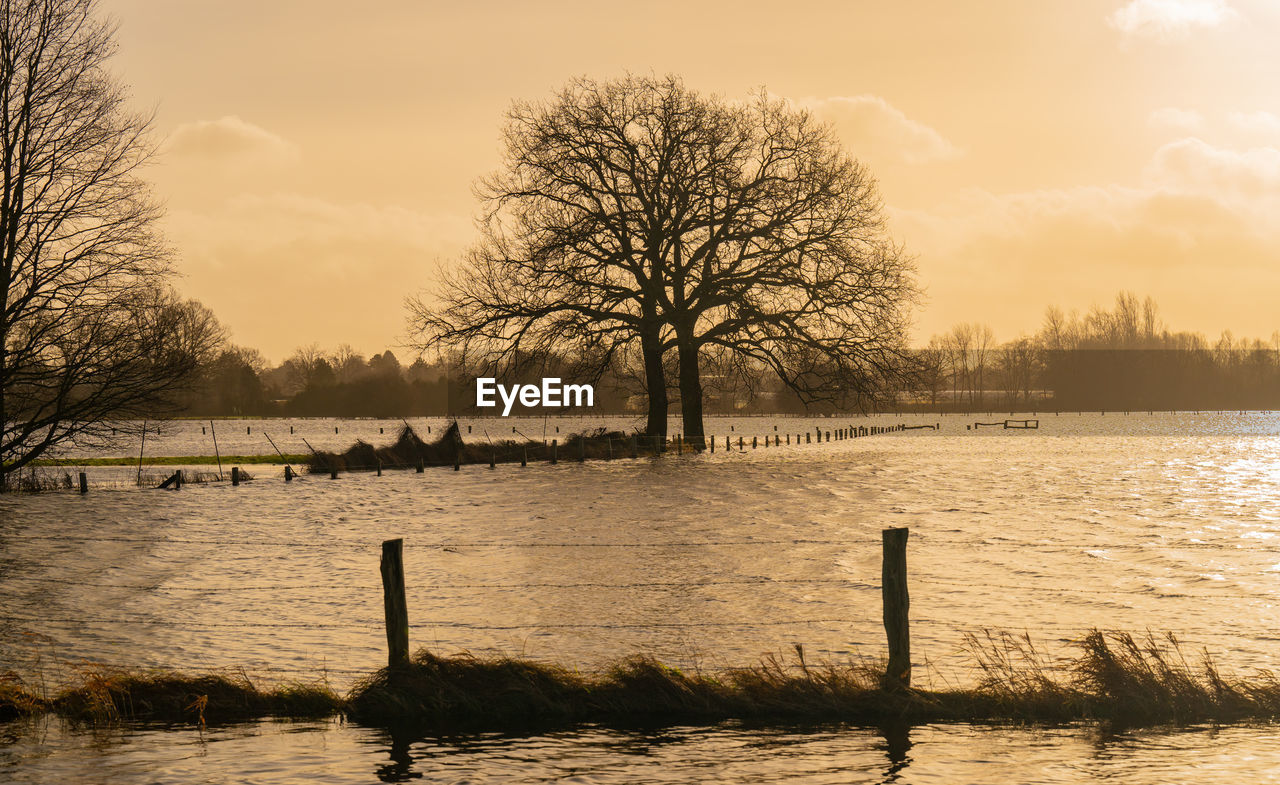 morning, tree, water, sky, reflection, nature, plant, dawn, beauty in nature, bare tree, tranquility, scenics - nature, sunrise, tranquil scene, river, environment, no people, cloud, landscape, winter, silhouette, sunlight, outdoors, fence, sun, land, idyllic, non-urban scene, shore, wooden post, architecture