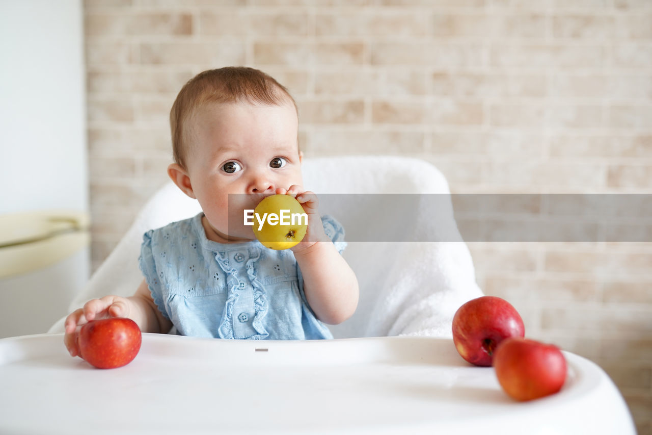 Portrait of cute baby girl holding apples while sitting on high chair at home