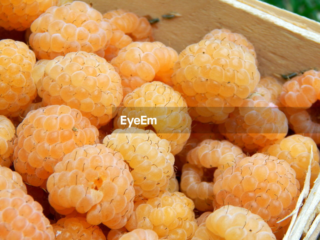 CLOSE-UP OF FRUITS FOR SALE IN MARKET STALL