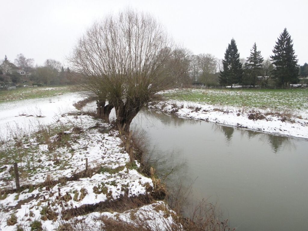 Stream along snowed landscape