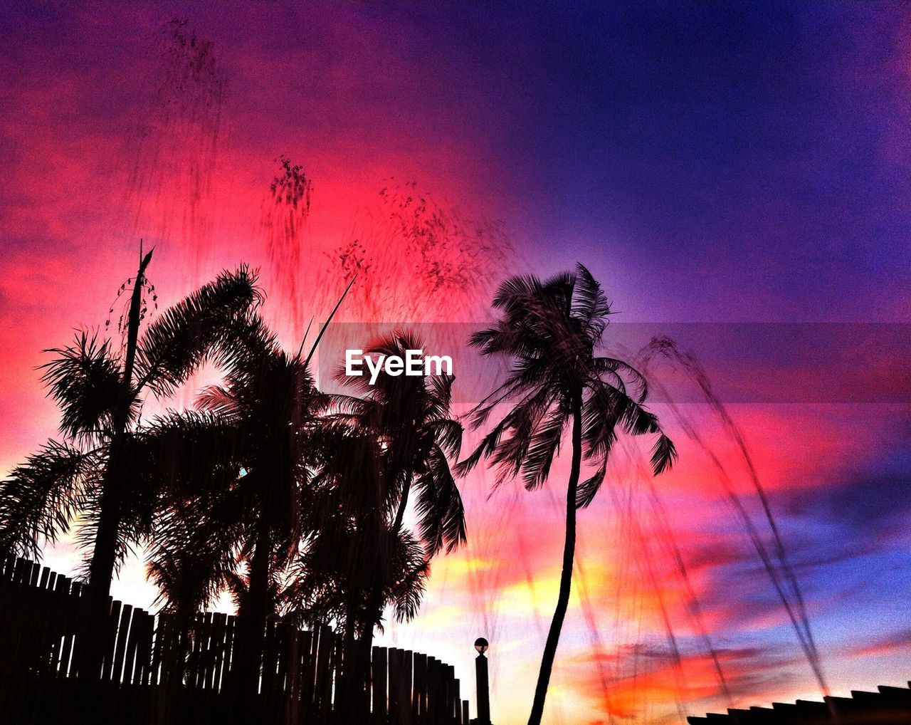 Low angle view of silhouette palm trees against dramatic sky