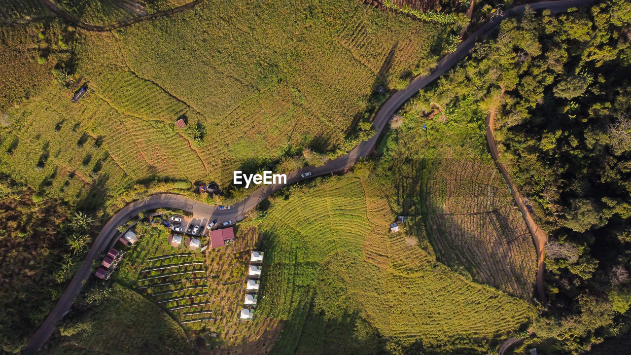 Aerial view of a car driving on a road through the rural fields in winter in thailand