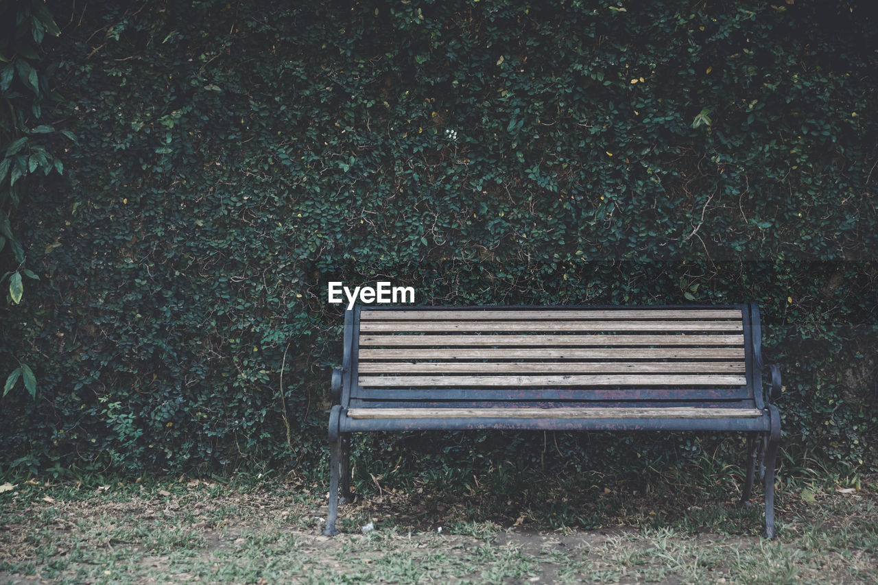 Empty bench in park