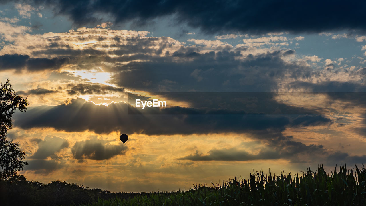 Low angle view of silhouette trees against sky during sunset