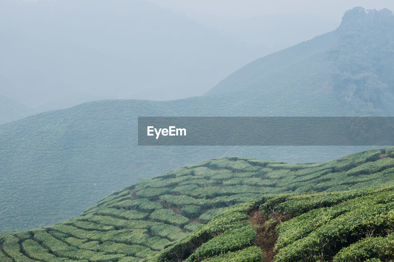 SCENIC VIEW OF GREEN MOUNTAINS