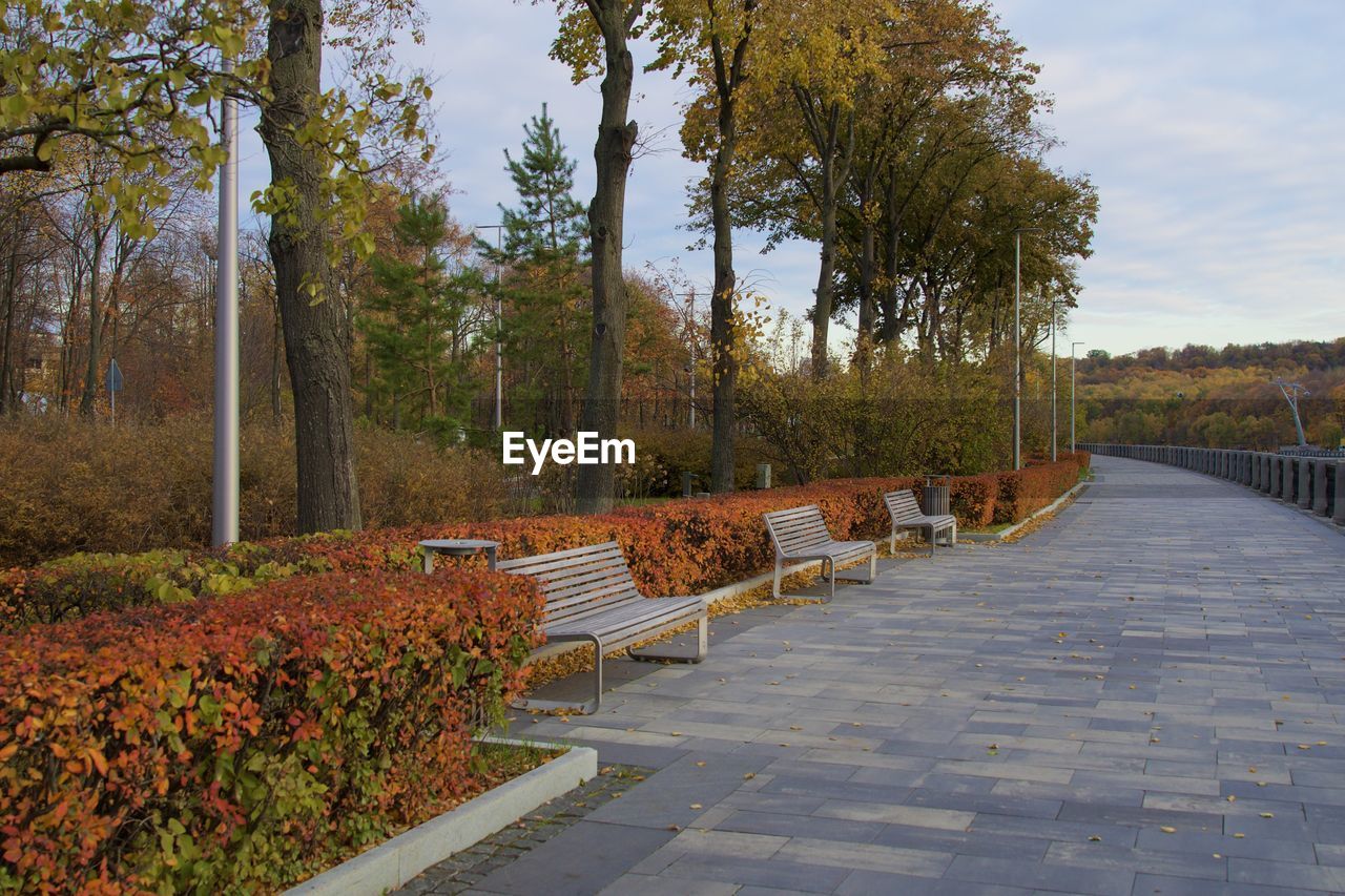 Footpath amidst trees in park during autumn