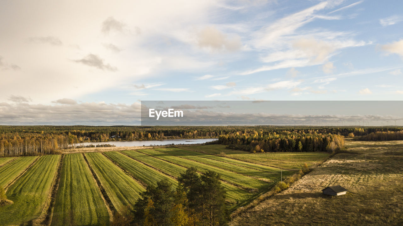 Scenic view of agricultural field against sky