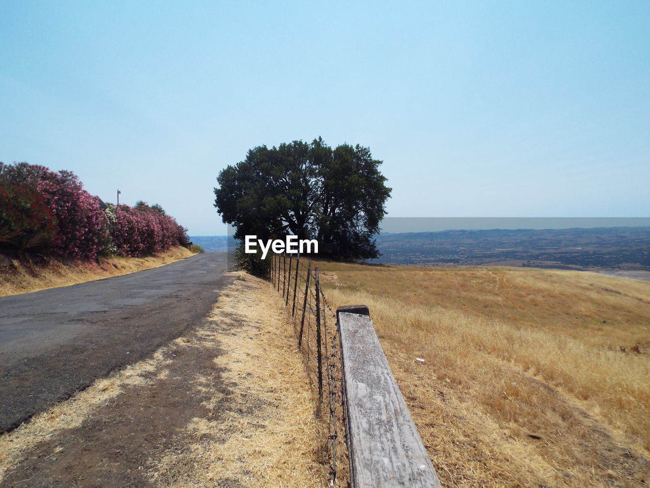 ROAD BY TREES AGAINST SKY