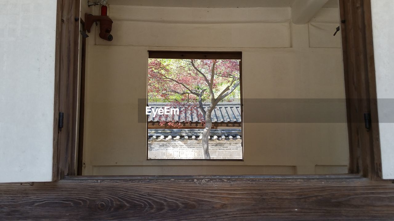 WINDOW OF BUILDING