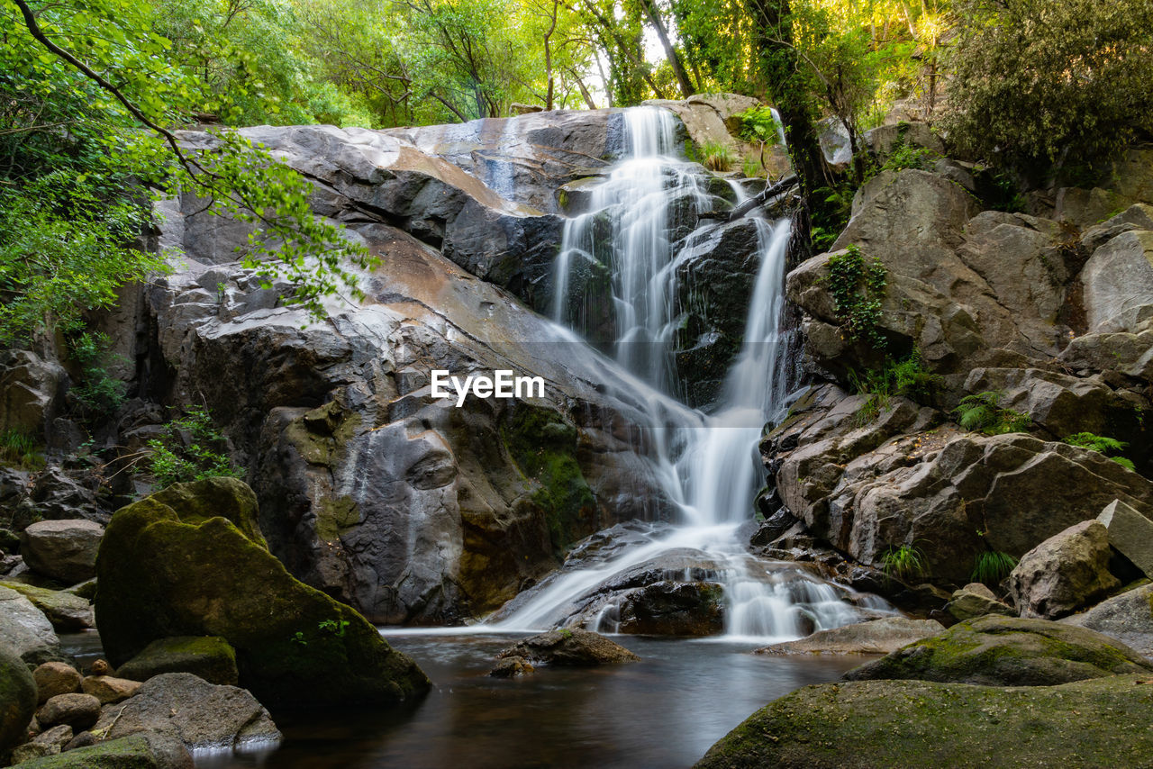 Scenic view of waterfall in forest