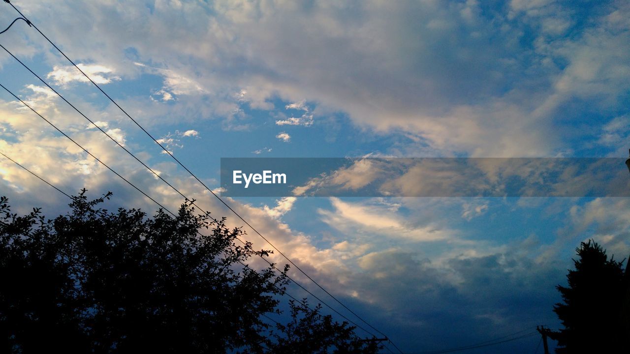 LOW ANGLE VIEW OF TREES AGAINST CLOUDY SKY