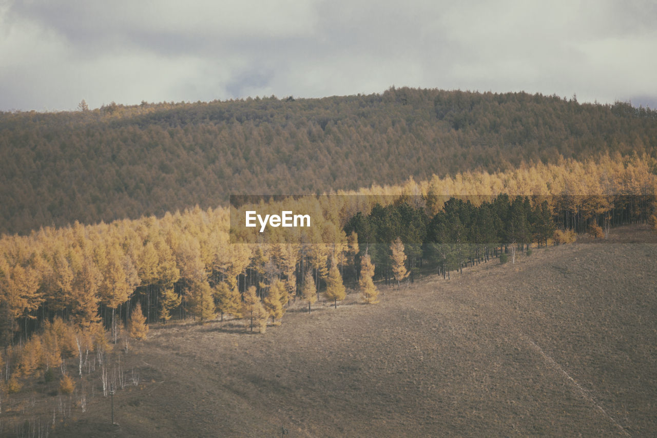 SCENIC VIEW OF FARM AGAINST SKY