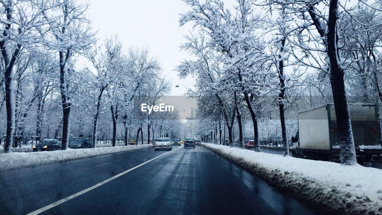 Cars on street amidst snow covered bare trees during winter