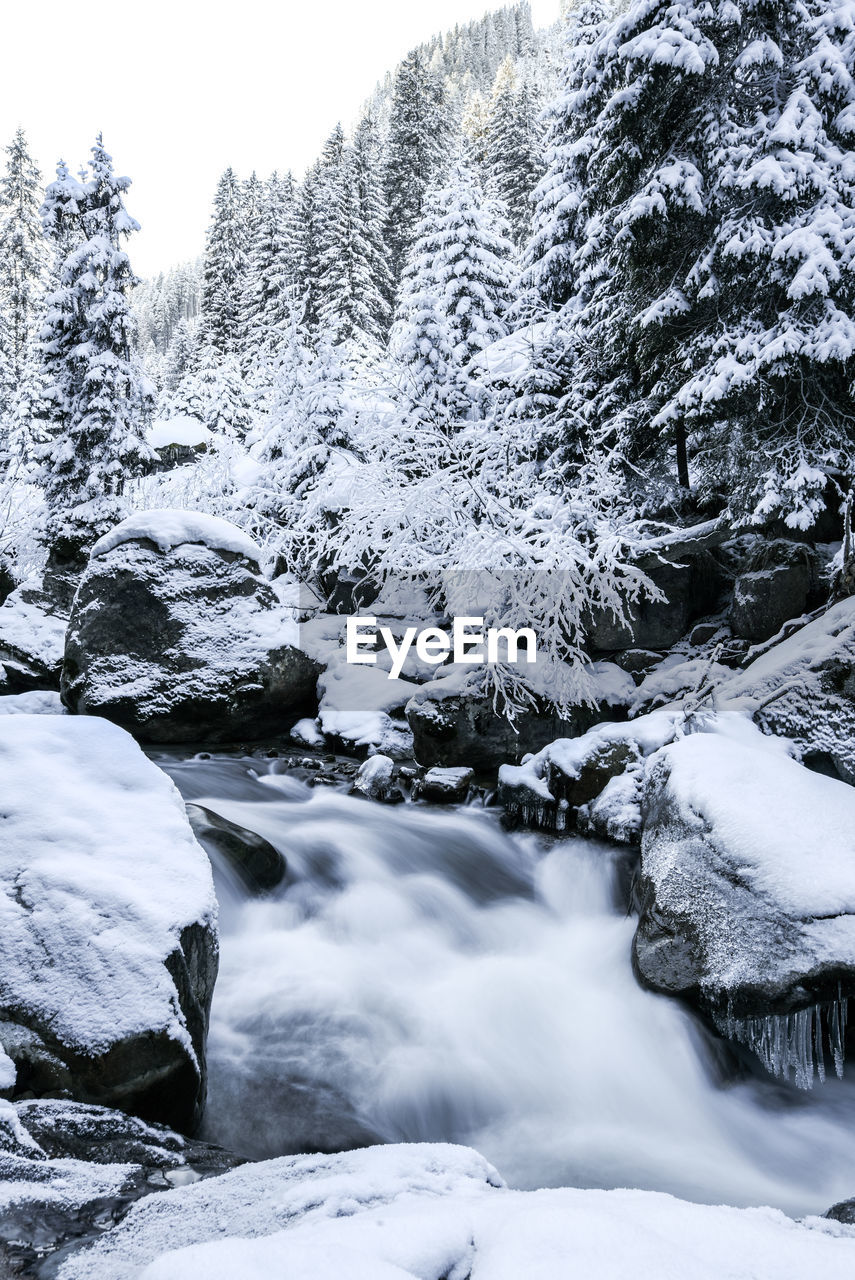 FROZEN RIVER AMIDST TREES AGAINST SKY