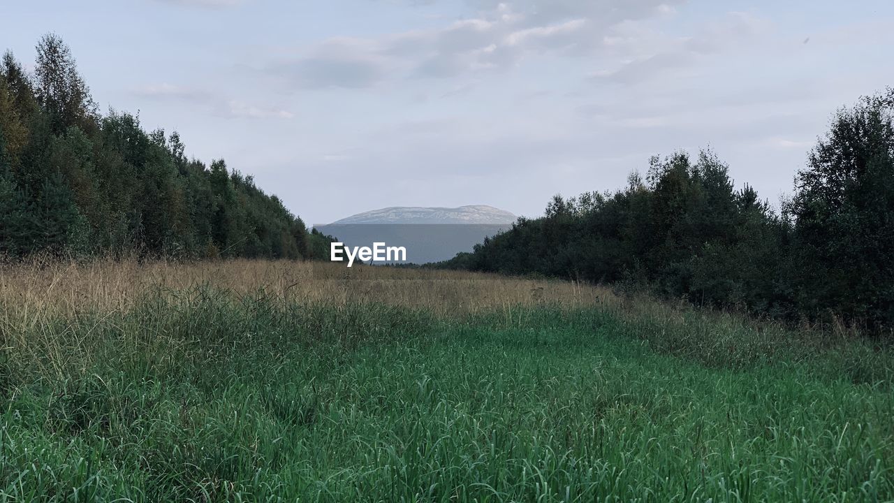 SCENIC VIEW OF LAND AGAINST SKY