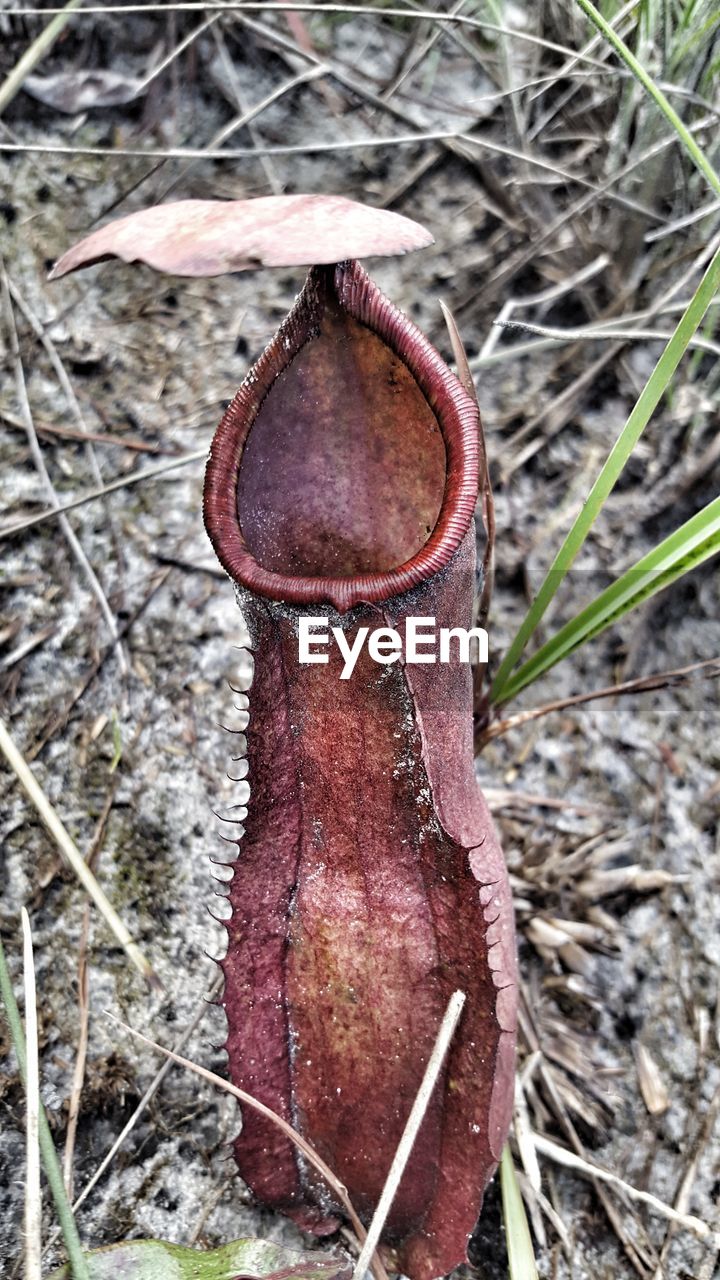 CLOSE-UP OF OLD RUSTY METAL POST