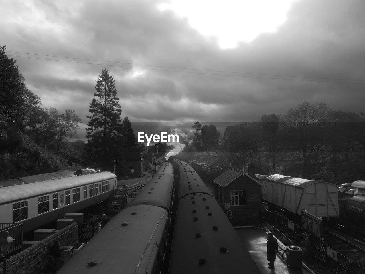 HIGH ANGLE VIEW OF TRAIN AGAINST TREES