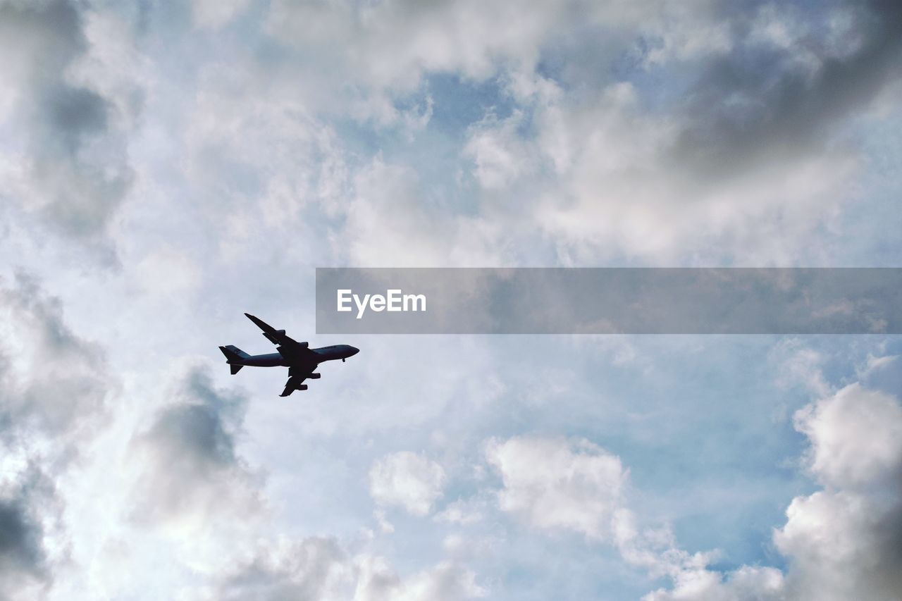 LOW ANGLE VIEW OF BIRD FLYING AGAINST SKY