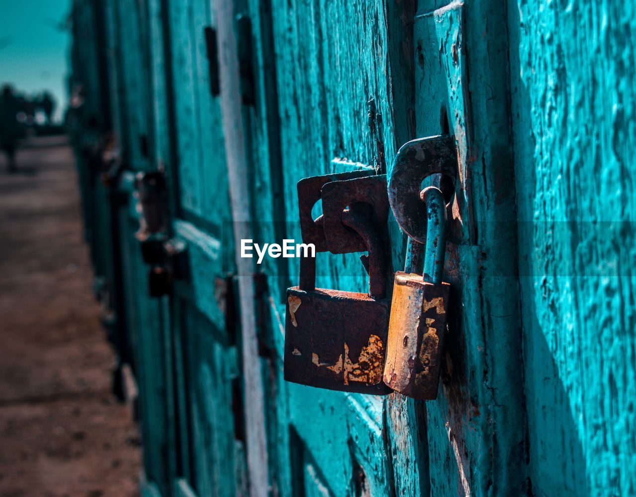 Close-up of rusty padlocks on turquoise doors