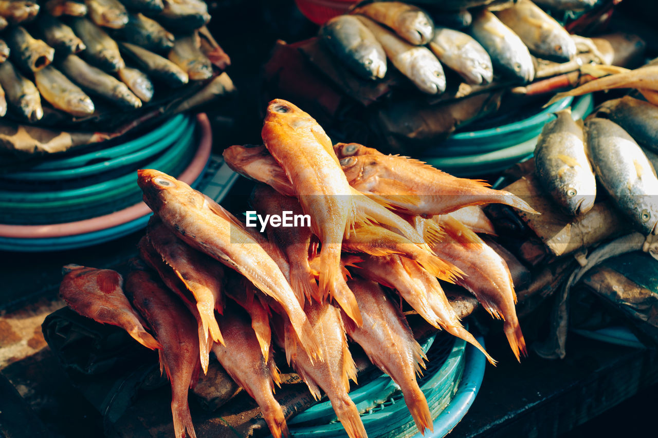 Close-up of fish for sale