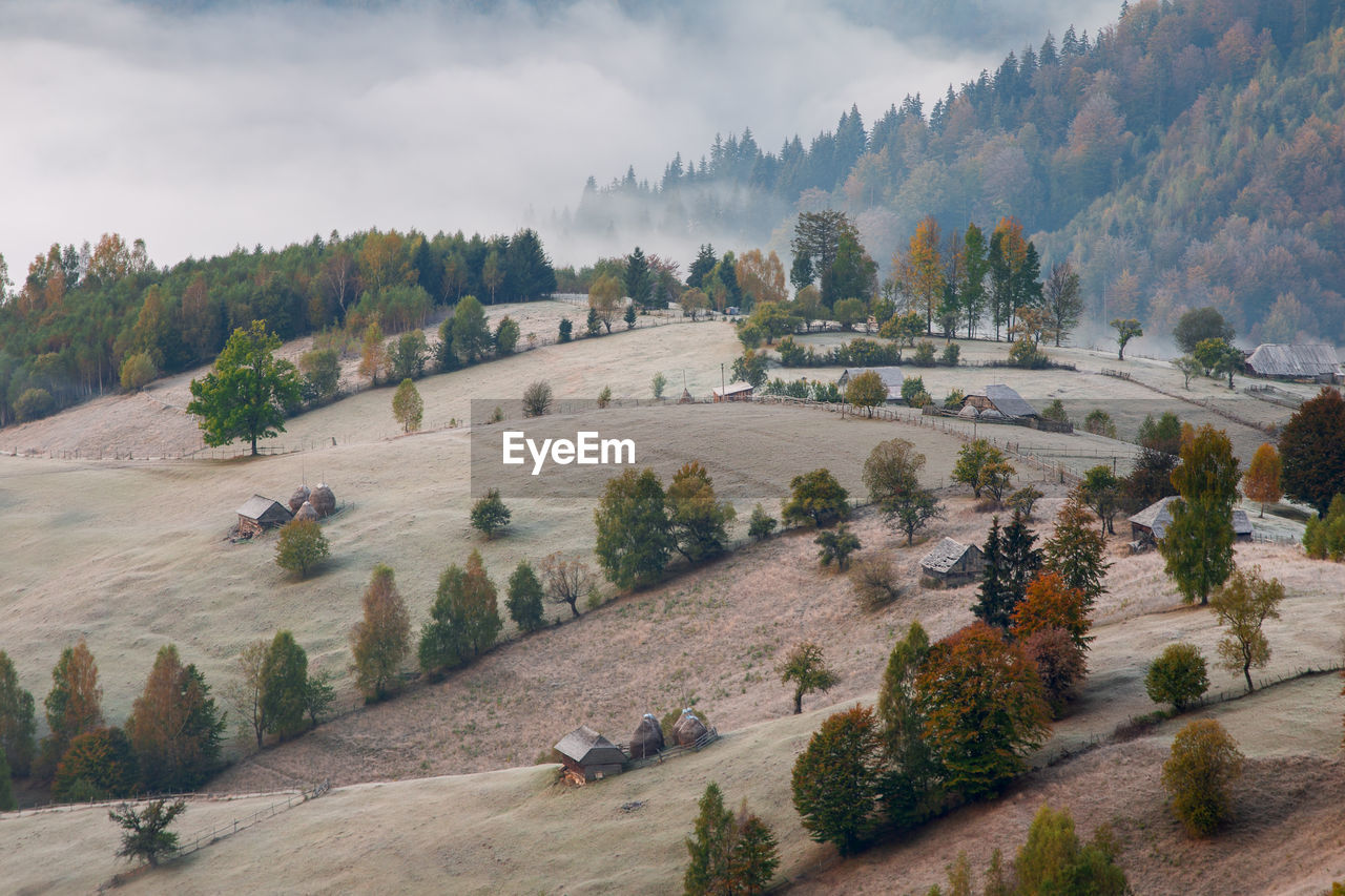 HIGH ANGLE VIEW OF TREES AND PLANTS AGAINST SKY