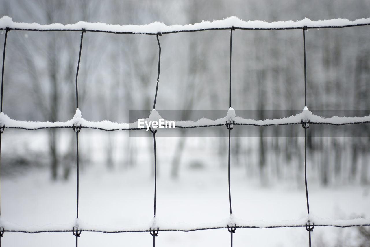 Close-up of snow on fence