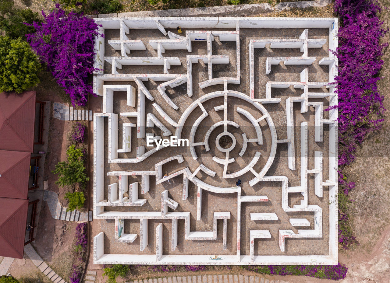 HIGH ANGLE VIEW OF FLOWERING PLANTS AGAINST BUILDING